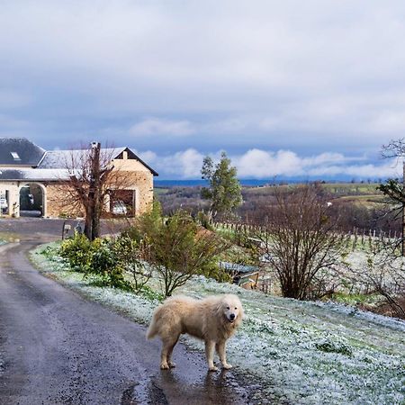 Pesaulhe Bed & Breakfast Monein Dış mekan fotoğraf