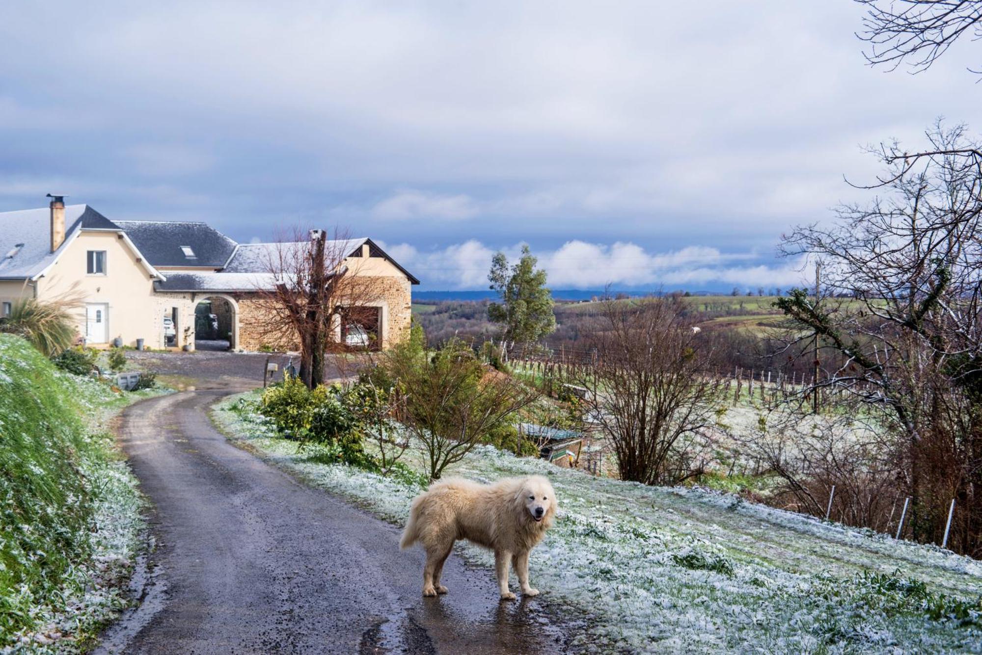 Pesaulhe Bed & Breakfast Monein Dış mekan fotoğraf